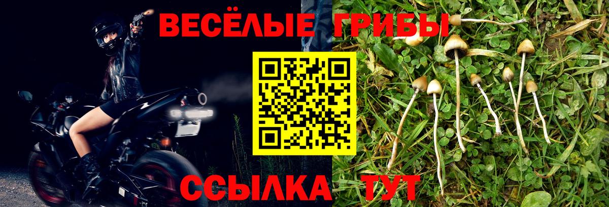 Киреевск  Псилоцибиновые грибы прущие грибы  Вход с VPN 