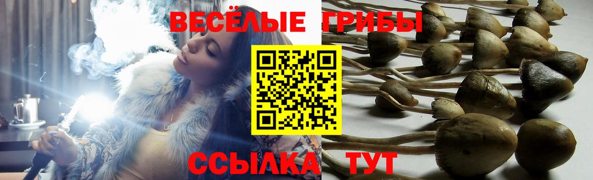 Галлюциногенные грибы прущие грибы Киреевск